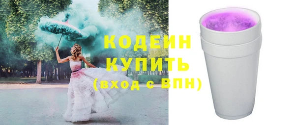 индика Краснотурьинск