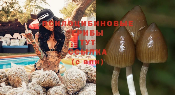 индика Краснотурьинск